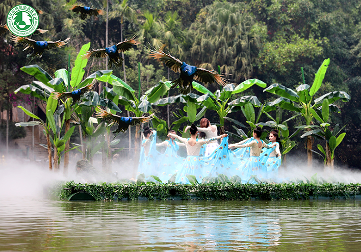 倩女手游聯(lián)動(dòng)西雙版納原始森林公園，免費(fèi)旅拍招募中