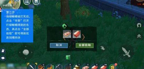 創(chuàng)造與魔法優(yōu)質(zhì)肉塊怎么獲得