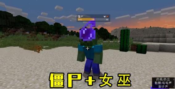 我的世界異世界女巫的城堡怎么進入