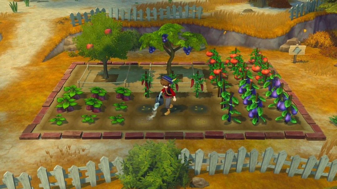 《牧場物語 來吧！風之繁華集市》上架Steam，首批截圖！